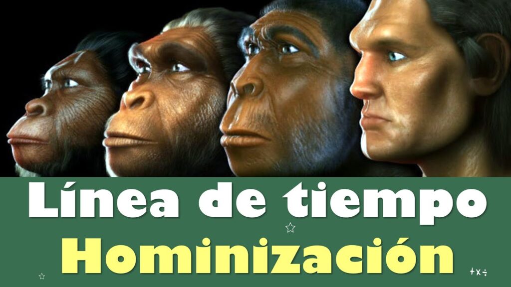 Descarga PDF: Evolución del Hombre - Línea del Tiempo Detallada 1 Descarga PDF: Evolución del Hombre - Línea del Tiempo Detallada