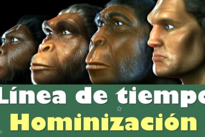 Descarga PDF: Evolución del Hombre - Línea del Tiempo Detallada